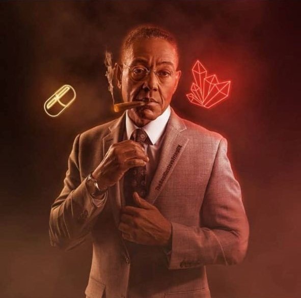 the real gustavo fring shop